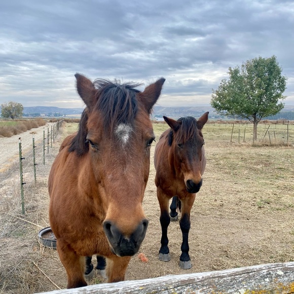 Profile Picture of Heather Bennett (@heatherben12) on Poshmark