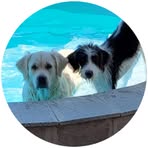 Profile Picture of Edith Siffert (@Edith-Siffert) on Facebook