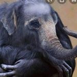 Profile Picture of Daniel Buchanan (@buchananboon) on Instagram