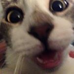 Profile Picture of Jeff Mccurry (@jmccurry56) on Instagram