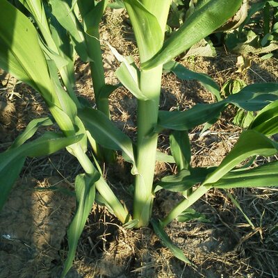 Profile Picture of Timothy Boldt (@boldt_timothy) on Twitter