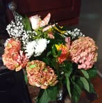 Profile Picture of Marro Stephanie (@MomOfTink) on Facebook