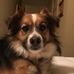 Profile Picture of Alex Mount (@alex.mount.37669) on Facebook