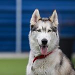 Profile Picture of Peter Wentzell (@pepsicoke15) on Instagram