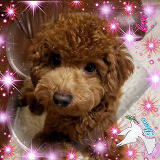 Profile Picture of Virginia Tong (@virginia.tong.9) on Facebook