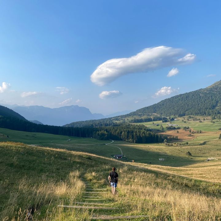 Profile Picture of Scottrose (@scott.rose) on Tiktok