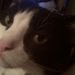Profile Picture of Joey Dollison (@drjoeypc) on Pinterest