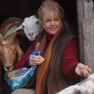Profile Picture of Debbie Halverson (@halveen1) on Twitter