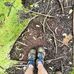 Profile Picture of Shelly Waggoner (@shelly.waggoner.921) on Facebook