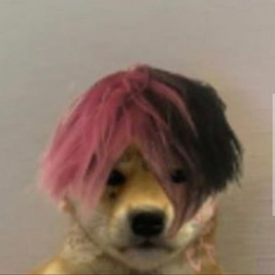 Profile Picture of Thomas Haack (@ThomasHaack12) on Twitter