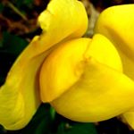 Profile Picture of alexandra farrell (@alexandrafarrell754) on Instagram