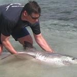 Profile Picture of Mark Kleeman (@fishpig04) on Instagram