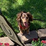 Profile Picture of Tracie Roberts (@tracielyynn) on Instagram
