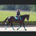 Profile Picture of Holly Read (@holly.read.39) on Facebook