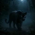 Profile Picture of Eugenio Sierra (@eugenio.sierra.342847) on Facebook