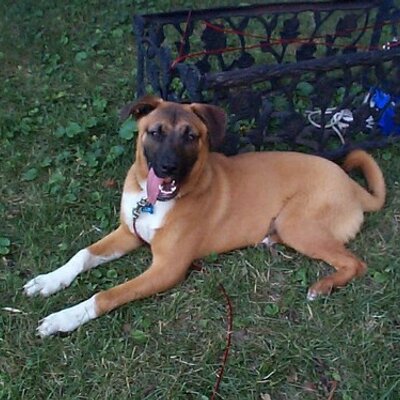 Profile Picture of Tom Krebsbach (@OldHouseRealtor) on Twitter