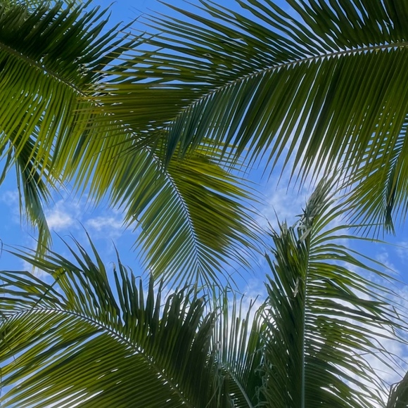 Profile Picture of Karl / Beutter (@sabkarl) on Poshmark