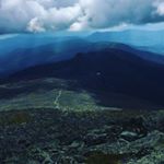 Profile Picture of Brian Egan (@_wall_fl0wer) on Instagram