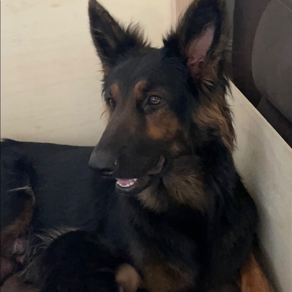 Profile Picture of Fernando Plata (@fplata66) on Poshmark