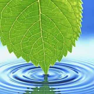 Profile Picture of David Menaker (@david.menaker.3) on Facebook