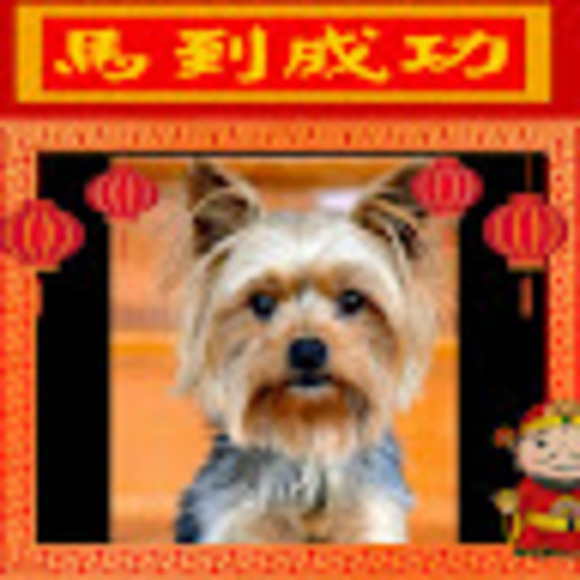 Profile Picture of Winnie Yu (@winnieyu9351) on Poshmark