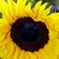 Profile Picture of Jinwon Lee (@jinwon-lee-7) on Quora