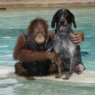 Profile Picture of R Gough (@RGough14) on Twitter