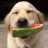 Profile Picture of Tyler Baum (@tyler-baum-16) on Quora