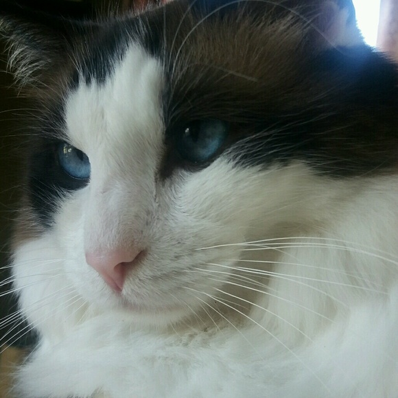 Profile Picture of Stacia Minkler (@123staz) on Poshmark