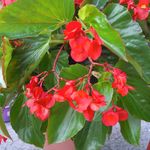 Martine Fourrier-Chahine - Instagram Profile Picture of Martine Fourrier-Chahine (@mafoch13) on Instagram