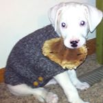 Profile Picture of Caleb Malone (@caleb.malone.7) on Instagram