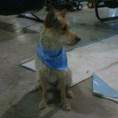 Profile Picture of Matthew Willemsen (@redbaron5858) on Twitter