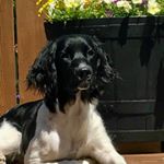 Profile Picture of Mark Posner (@mmjlj12) on Instagram