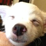 Profile Picture of James Commiskey (@James-Commiskey) on Facebook