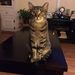 Profile Picture of Ed Squires (@eds1406) on Pinterest