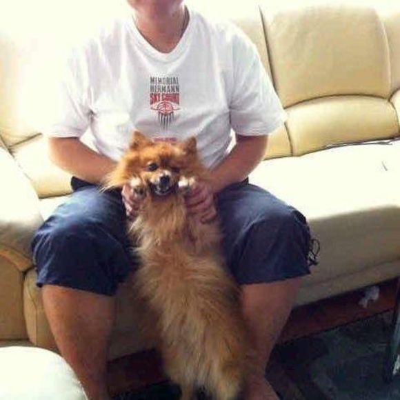 Profile Picture of Cheng Huang (@fennilu) on Poshmark