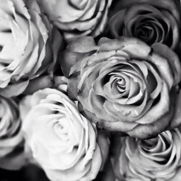 Profile Picture of Becca Paluso (@tumbler59) on Poshmark