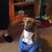 Profile Picture of Joe Kuper (@josephkuper12) on Pinterest