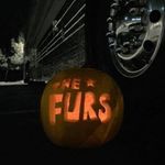 Profile Picture of Tracey Van Haren Lavelle (@traceyanngb) on Instagram