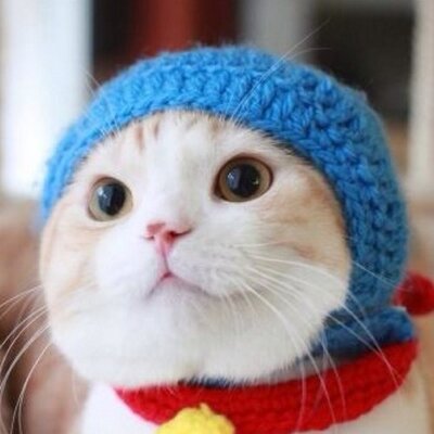 Profile Picture of Randy Takahashi (@randy0216) on Twitter