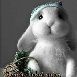 Profile Picture of Connie Bertrand (@Connie_Ber) on Twitter