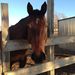 Profile Picture of Debbie Olmsted (@debolmsted) on Pinterest