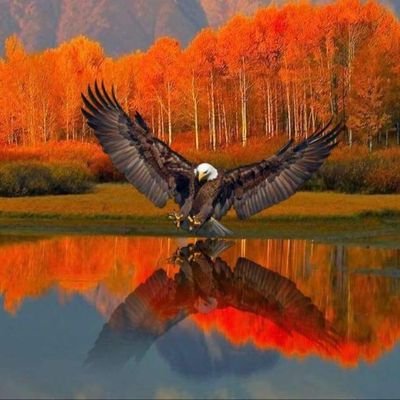 Profile Picture of Dan Howlett (@DanHowlett4) on Twitter