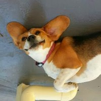 Profile Picture of Martin Mears (@martin-mears-1) on Quora