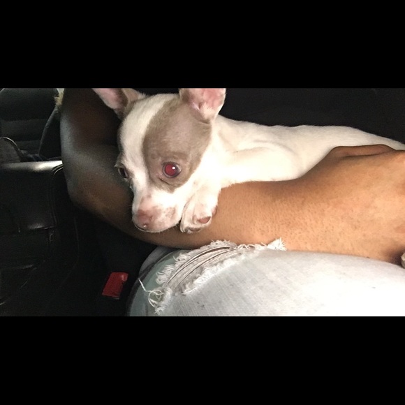 Profile Picture of Maria Licea (@marialicea15) on Poshmark