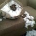 Profile Picture of Justin Hurtt (@jhurtt518) on Pinterest