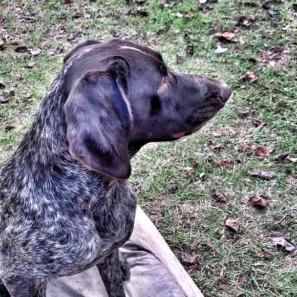 Profile Picture of Garrette Burnette (@garrette95) on Poshmark