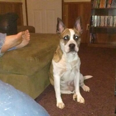 Profile Picture of Shawn Ketchum (@Shawn68252818) on Twitter