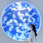 Profile Picture of Ariel Wu (@ariel15829) on Instagram