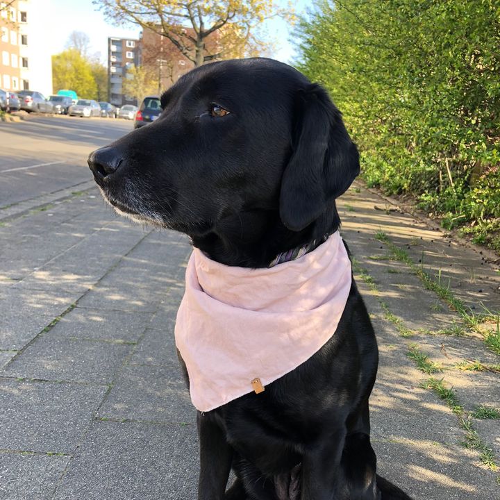 Profile Picture of Lisa Hunsicker (@lisa.hfee) on Tiktok